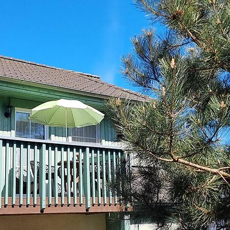 Ferienwohnung Strandwurzel Zempin Zewnętrze zdjęcie